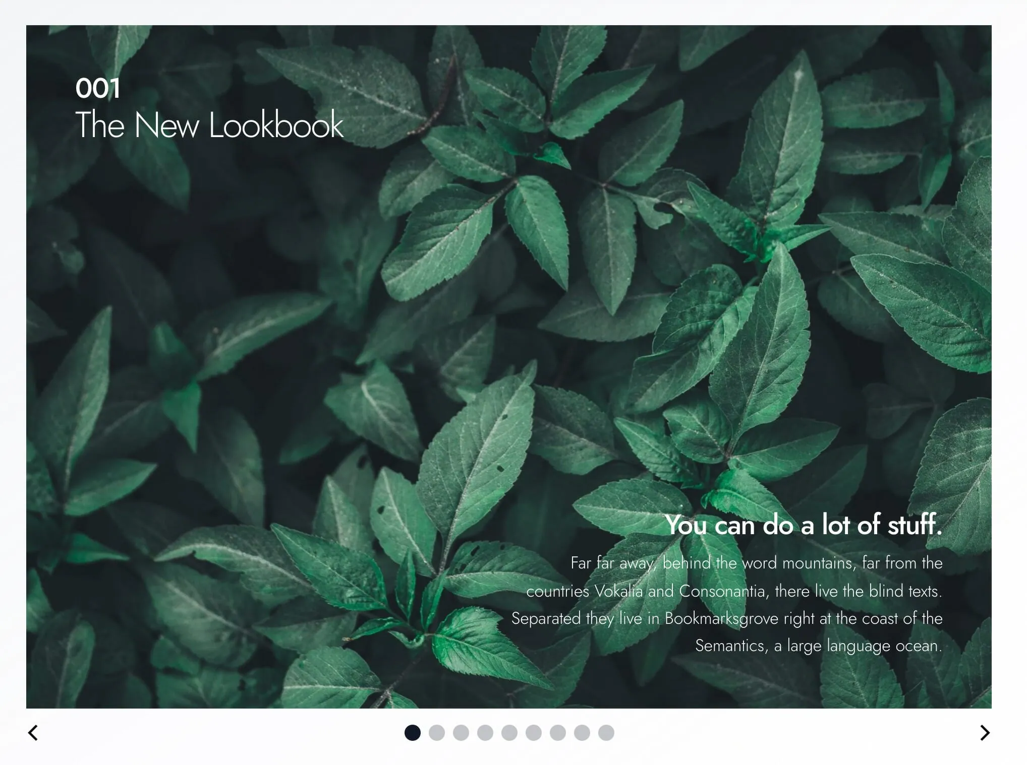 Lookbook slider showing a magazine-style spread with photos and editorial copy.