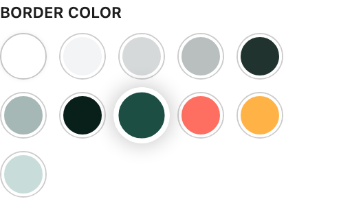 Border Color setting in the block editor sidebar