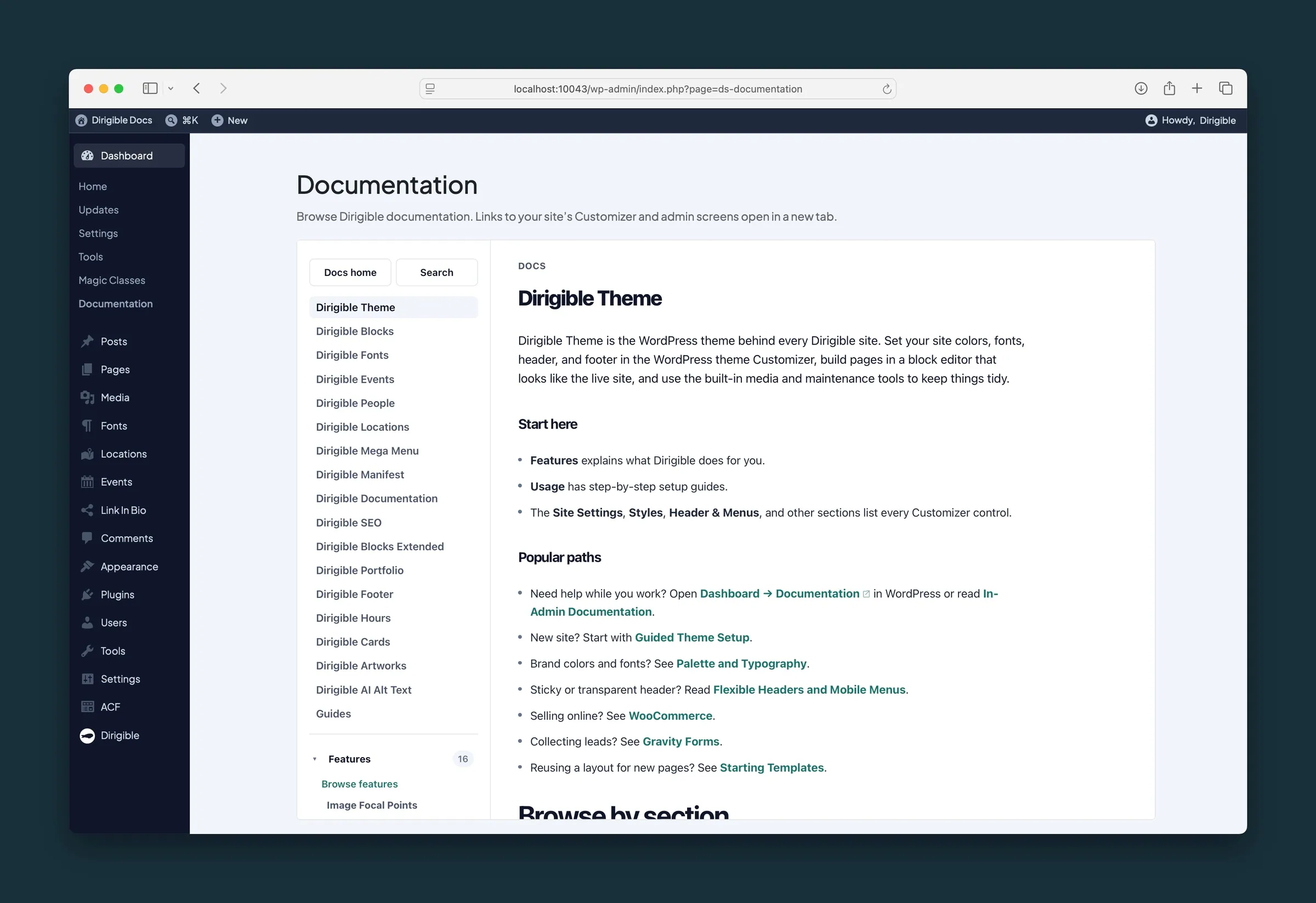 Dashboard Documentation screen showing the Dirigible Theme collection