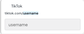 TikTok setting in the block editor sidebar