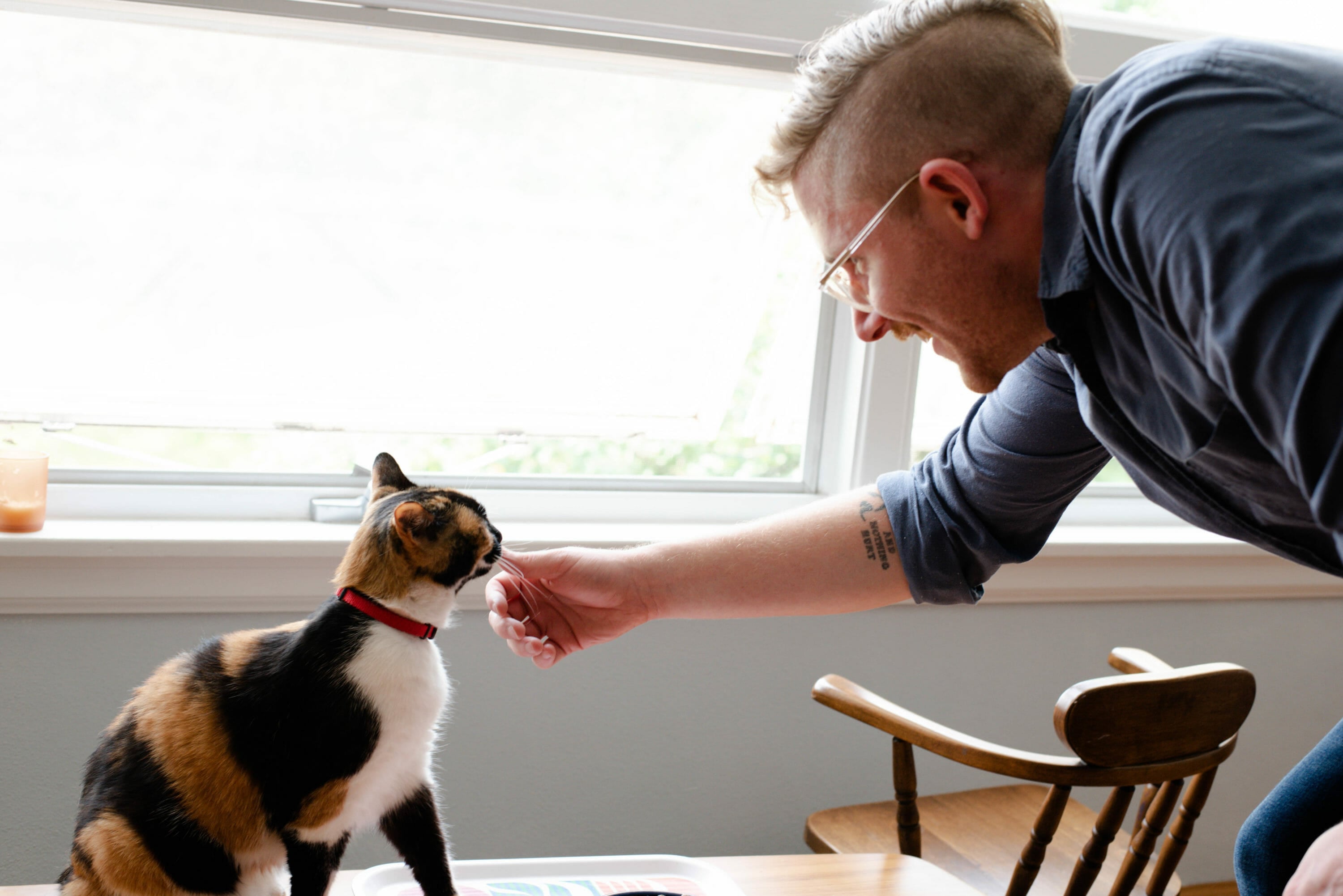 Man with mohawk and glasses feeds a calico cat by a window.